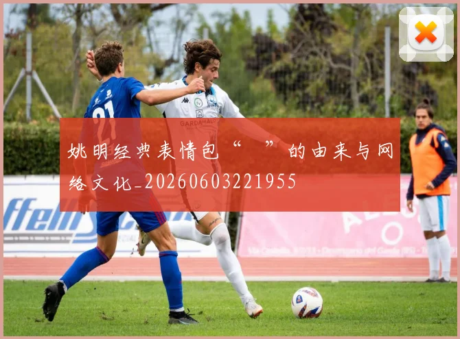 姚明经典表情包“囧”的由来与网络文化_20260603221955